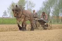 het poten der aardappelen in dezen tijd........